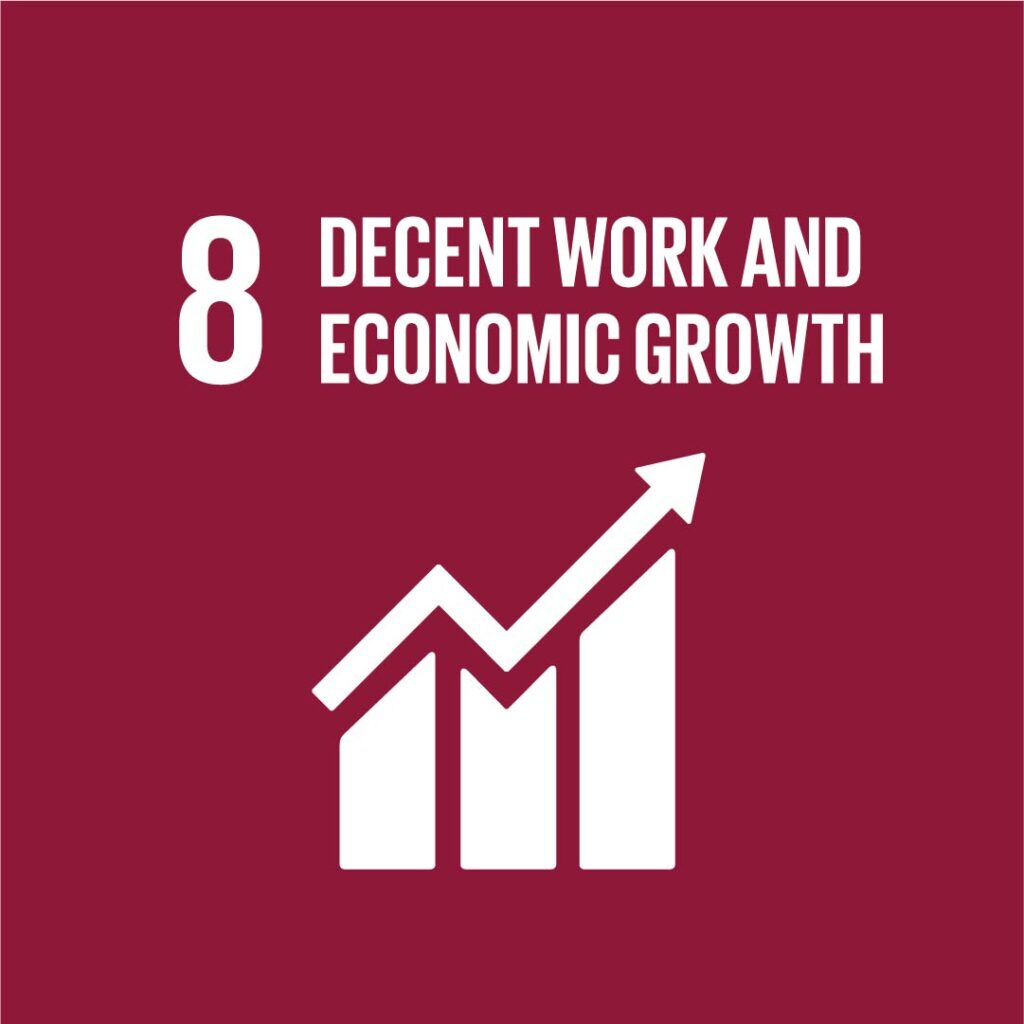 COP27 & Sustainable Development Goals Decent Work & Economic Growth