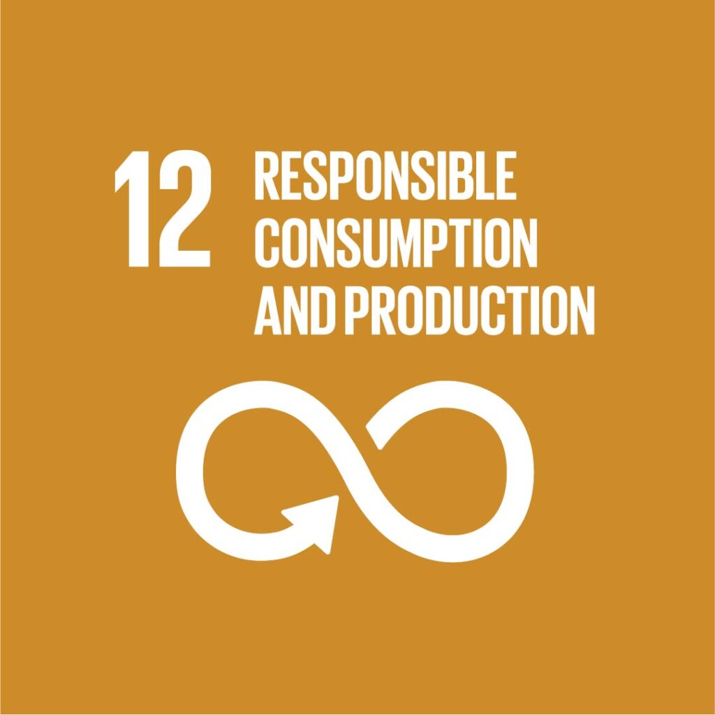 COP27 & Sustainable Development Goals Responsible Consumption & Production